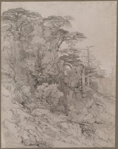 Trees of a Rocky Hillside de Gustave Achille Guillaumet