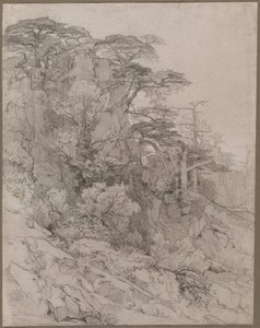 Árboles en una Ladera Rocosa, finales de 1800 de Gustave Achille Guillaumet