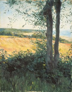 Junto al mar, Normandía, 1884 de Gustave Caillebotte