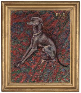El perro 