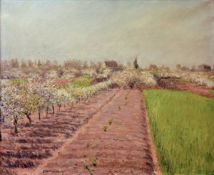 Manzanos en flor, colina de Colombes