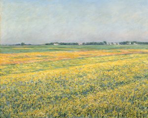 La llanura de Gennevilliers, campos amarillos, 1884 de Gustave Caillebotte