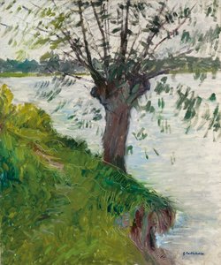 Sauce junto al río; Saule au bord de la rivière, c. 1891 de Gustave Caillebotte