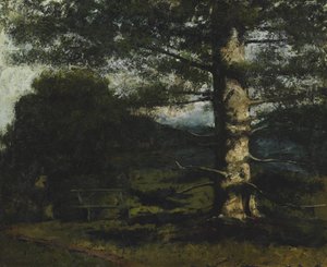 Cedro de Hauteville de Gustave Courbet
