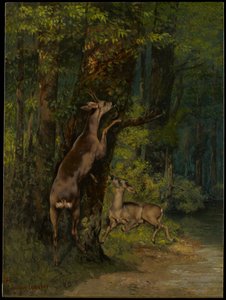  de Gustave Courbet
