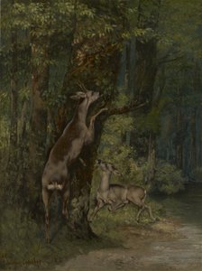 Francés: Cerfs dans la forêt Ciervos en el bosque de Gustave Courbet