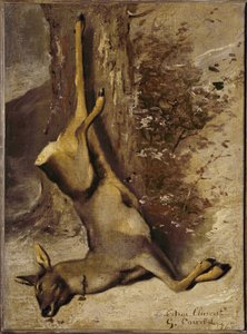 El ciervo de Gustave Courbet