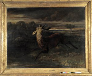 El ciervo tiene agua (caza en carrera) dice la fuerza del ciervo de Gustave Courbet
