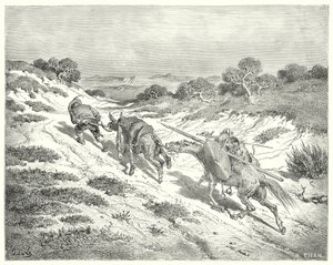 Don Quijote de Gustave Doré: "Llevando el asno por el cabestro, tomó el camino más cercano que pudo adivinar hacia la carretera" de Gustave Dore