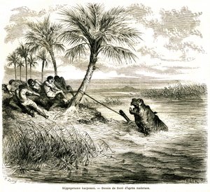 Caza en el río Teoghe, afluente del Ngami. Arpón de hipopótamo. Grabado de Gustave Dore que ilustra "les aventures et chasse du voyageur Charles-Jean Anderson dans l