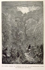 Ilustración de bosque americano. de La legende de Croque-Mitaine.