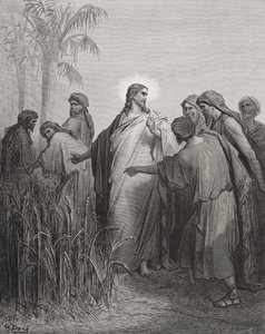 Jesús y sus discípulos en el campo de maíz, ilustración de 