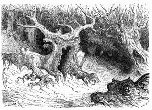 Haya monstruosa en el valle de Ossau, árboles monstruosos antropomorfos. Grabado de Gustave Dore que ilustra el libro "Voyage aux Pyrénées d