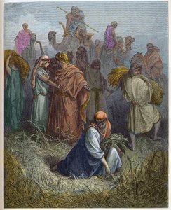Rut y Booz - Rut trabajando en los campos de Booz - grabado en “La Biblia ilustrada” por Gustave Doré (1832-1883) - Grabado de “La Biblia de Doré” de Gustave Dore