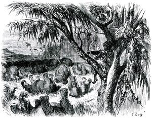 Sindbad el marino (Simbad) - cuento de las mil y una (1001) noches - ilustración de Gustave Dore - edición Maxwell 1865 - Séptimo viaje: Sindbad, encaramado en un árbol, tira con su arco de los elefantes de Gustave Dore