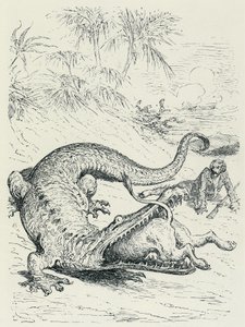 "Las aventuras del Barón de Munchausen" (Munchhausen): El intrépido Barón de Munchausen perseguido por un león se cruza en el camino de un enorme cocodrilo que devorará al león. Ilustración de Gustave Doré Finales del siglo XIX. de Gustave Dore