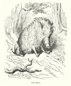 El Jabalí (grabado) de Gustave Dore