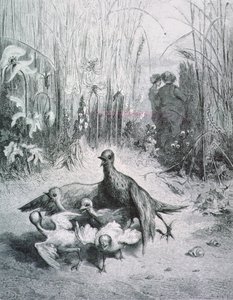 La Fábula de la Alondra, sus crías y el amo del campo, ilustración para las Fábulas de La Fontaine de Gustave Dore