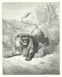 Las Fábulas de La Fontaine: El león y el mosquito (grabado) de Gustave Dore