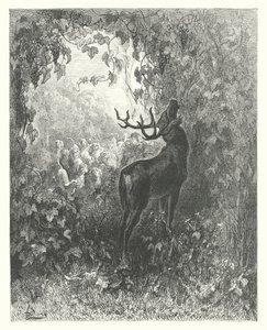 Las Fábulas de La Fontaine: El ciervo y la vid (grabado) de Gustave Dore