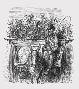 El Vendedor de Flores, 1872