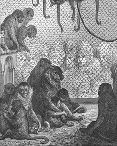 Jardines zoológicos - La casa de los monos, 1872 de Gustave Dore