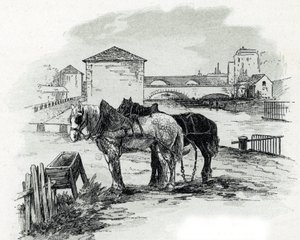 Horses de haulage, quai de la Gironde, Villette (Caballos utilizados para remolcar los barcos del canal saint-denis, quai de la gironde, Villette París) Dibujo de Gustave Fraipont (1849-1923) de Saint-Juirs