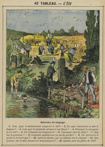 El verano de Gustave Fraipont