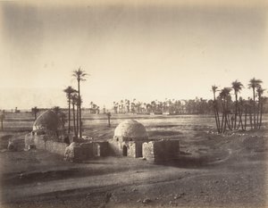 Vista de la Llanura de Tebas tomada desde el templo de Karnak