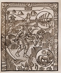Calendario del pastor - Los trabajos de los meses - Julio - Xilografía del libro de 1496 impreso por Guy Marchant (Guido Mercator) en Troyes - Heno, la siega del heno - Grabado en madera en “Le grand Calendrier et compost des shepherds” de Guy Marchant