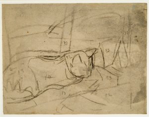 Estudios sobre gatos (carboncillo sobre papel) de Gwen John