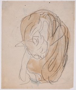Estudios sobre gatos (acuarela con lápiz sobre papel) de Gwen John