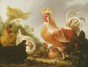 Gallo y gallinas en un paisaje, 1649