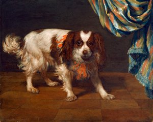 Un King Charles Spaniel (óleo sobre tabla)