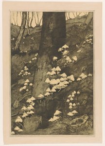 Setas en un bosque
Otoño (título original)