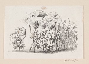 Ilustración para "Las flores de la pequeña Ida" en H.C. Andersen, "Cuentos y Historias", Volumen 1 de H.P. Hansen