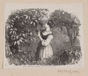 Ilustración para "Una Hoja del Cielo" en H.C. Andersen, "Cuentos y Historias", Volumen 2