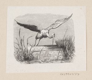 Ilustración para "Las cigüeñas" en H.C. Andersen, "Cuentos y Historias", Volumen 1