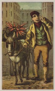 Vendedor ambulante de H.W. (after) Petherick