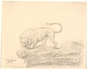 Un león en una roca. Está mirando a un pájaro que vuela cerca de H.W. Bissen