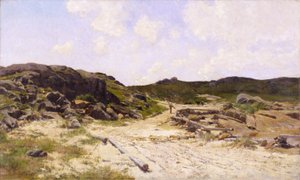 Playa del Faro, Annisquam