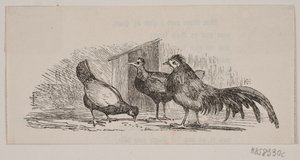 Tres gallinas de H. C. Henneberg