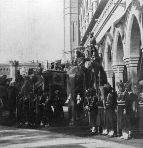 El elefante del virrey, Delhi, India de H. Hands and Son