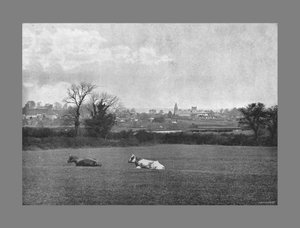 Southwell de H. J. Bliss