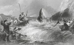 La ballena en la orilla (grabado) de H. Melville