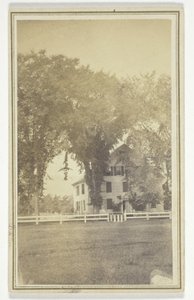 La casa de la Srta. Brown y la curiosa cruz del olmo. de H. O. Bly