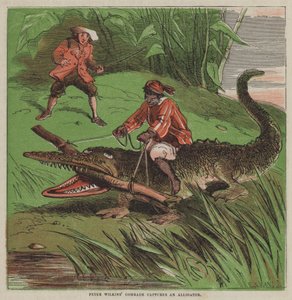 El camarada de Peter Wilkins captura un caimán