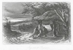 Calles de Londres: Negocios importantes (grabado) de Hablot Knight (1815 92) Browne