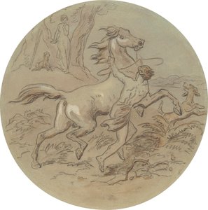 Uno de los dieciocho diseños para una serie de láminas que ilustran Venus y Adonis