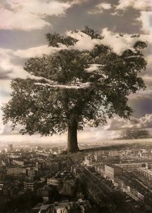 El Árbol en Islington